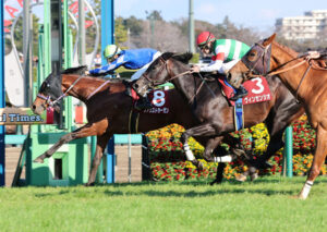 皐月賞史上初のCコース幅員14mでファウストラーゼンがまくるスペース無い？