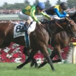 【競馬】ディープインパクトは現役時代は誤魔化せたが、実はパワーが圧倒的に足りないという弱点があった