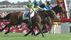 【競馬】ディープインパクトは現役時代は誤魔化せたが、実はパワーが圧倒的に足りないという弱点があった