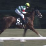 【競馬】ミリッサ桜花賞の権利取り失敗