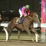 【競馬】川崎記念は浜中騎乗のメイショウハリオがV