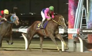 【競馬】川崎記念は浜中騎乗のメイショウハリオがV