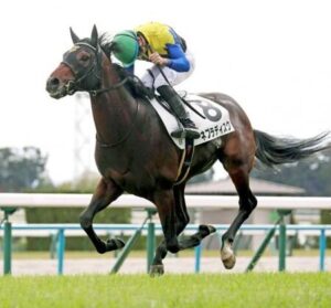 福永祐一調教師、武が先約を破棄か！ネブラディスクはシュタルケで京都新聞杯へ