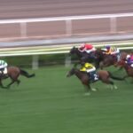 【クイーンエリザベス2世カップ2025】結果・動画/タスティエーラがねじ伏せ快勝
