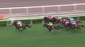 【クイーンエリザベス2世カップ2025】結果・動画/タスティエーラがねじ伏せ快勝