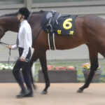 【競馬予想】[1] 第56回読売マイラーズカップ(GⅡ) /2025