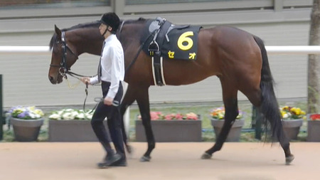 【競馬予想】[1] 第56回読売マイラーズカップ(GⅡ) /2025