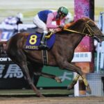 8歳馬メイショウハリオに完封されるダート界www
