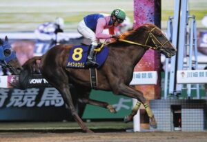 8歳馬メイショウハリオに完封されるダート界ｗｗｗ