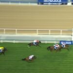 【アルクオーツスプリント2025】結果・動画/ビリーヴィングが差し切る