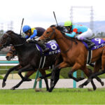 初ダートG1馬ポタジェ、ひっそりと沈む
