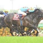 【青葉賞】エネルジコ微妙過ぎだろwww