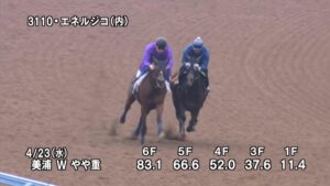 【青葉賞2025】追い切り/調教を見てわかる事