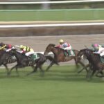 【ダービー卿CT 2025】結果・動画/トロヴァトーレが内から差し切る