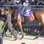 【大阪杯】この馬今回は消し！教えて