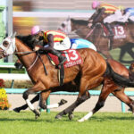 【NZT】イミグラントソングが差し切り重賞初V! 2歳マイル王アドマイヤズームは2着