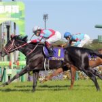 改めて、やっぱコントレイルって強かったんやな..