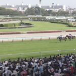 【中山グランドジャンプ2025】結果・動画/エコロデュエルが感涙の圧勝V
