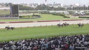【中山グランドジャンプ2025】結果・動画/エコロデュエルが感涙の圧勝V
