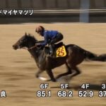 【福島牝馬ステークス2025】追い切り/動きを見極め勝利に近づけ