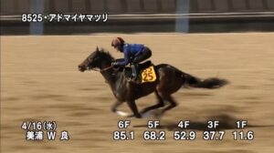 【福島牝馬ステークス2025】追い切り/動きを見極め勝利に近づけ