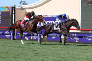 BCターフってすぐ勝てそうじゃね？