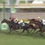 【競馬】ダービー卿CTはモレイラ騎乗のトロヴァトーレがV