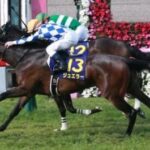 お前らが好きな桜花賞馬