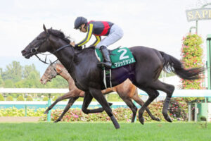 皐月賞6着マジックサンズは武豊でNHKマイル参戦　アルテヴェローチェは佐々木大輔