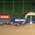 【ドバイゴールデンシャヒーン2025】結果・動画/ダークサフロンが逃げ切る