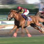 【競馬】オルフェ妹、ステイゴールド×オリエンタルアートの最後の仔の名前が決定!