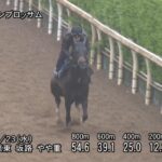 【マイラーズカップ2025】追い切り/動きからレースを紐解く