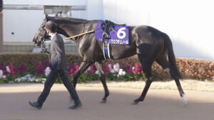 【皐月賞】クロワデュノール弱すぎワロタｗｗｗwｗｗ