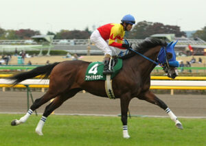 フサイチホウオー皐月賞前と雰囲気が似てる