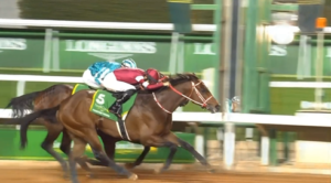 矢作師「フォーエバーヤングを芝のレースに使うプランがある」