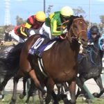 JRAジョッキーカメラ、また勝ち馬の動画無し