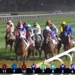 【ドバイターフ】ソウルラッシュ&Cデムーロ騎手がキタ━━━━(゚∀゚)━━━━!!