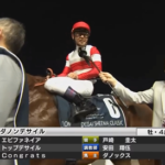 戸崎圭太騎手「ベリーベリーホース」