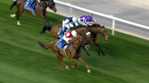 【アルクオーツスプリント】ウインカーネリアン三浦騎手…