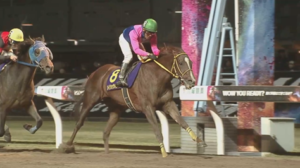 【川崎記念】メイショウハリオとかいうなんかずっと一線級にいるおっさん　他