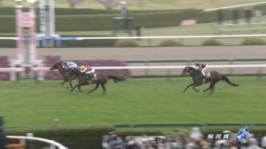 【桜花賞】リンクスティップ地味に強いwww