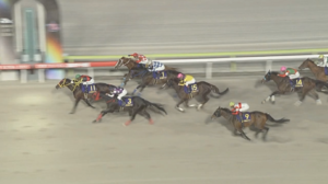 【東京スプリント】エートラックス＆モレイラ騎手がｷﾀ━━━━(ﾟ∀ﾟ)━━━━!!