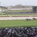 【中山グランドJ】中山の障害コースほんまにキツいんやろな 他