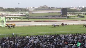 【中山グランドJ】中山の障害コースほんまにキツいんやろな 他