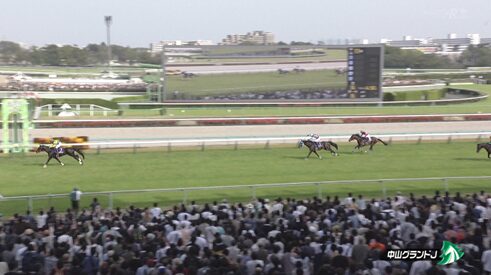 【中山グランドJ】中山の障害コースほんまにキツいんやろな　他