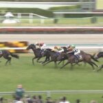 【皐月賞】サトノシャイニングさん