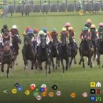 【皐月賞】ピコチャンブラック最下位