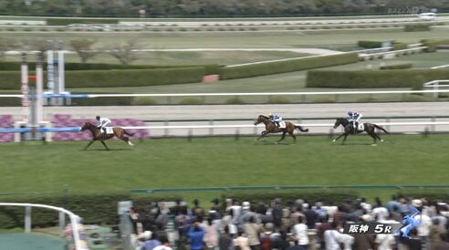 【土曜阪神5R】トッピボーン＆武豊騎手がｷﾀ━━━━(ﾟ∀ﾟ)━━━━!!