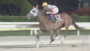 【羽田盃】ナチュラルライズ強すぎワロタｗｗｗ