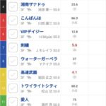 桜花賞の英語版出馬表を翻訳した結果 他
